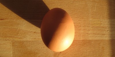 Яйцо куриное, 1 шт.