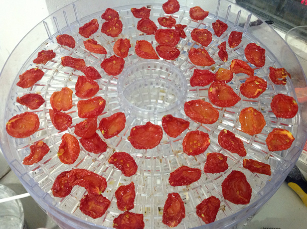 Вяленые томаты в сушке